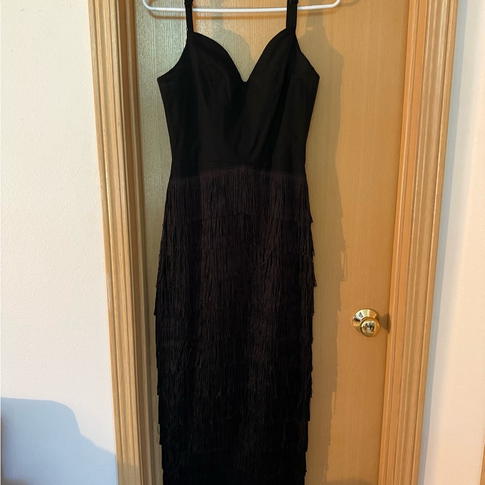Hollywoodland Some Like it Hot Fringe Dress - Picture 3 of 6